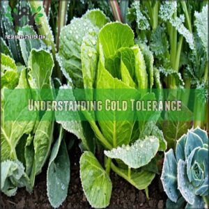 Understanding Cold Tolerance