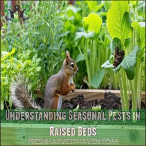 Understanding Seasonal Pests in Raised Beds