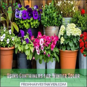 Using Containers for Winter Color