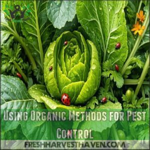 Using Organic Methods for Pest Control