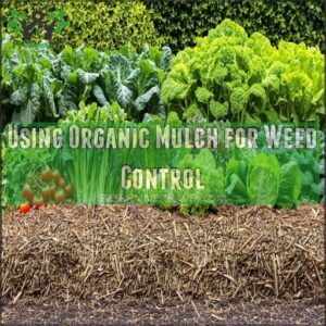 Using Organic Mulch for Weed Control