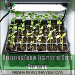 Utilizing Grow Lights for Seed Starting