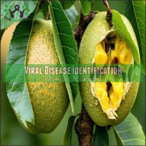 Viral Disease Identification