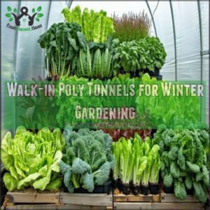 Walk-in Poly Tunnels for Winter Gardening