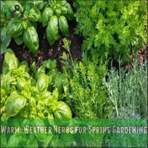 Warm-Weather Herbs for Spring Gardening