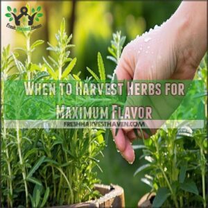 When to Harvest Herbs for Maximum Flavor