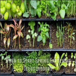 When to Start Spring Gardening Seeds Indoors