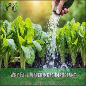 Why Fall Watering is Important