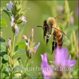 Why Pollinator Populations Decline