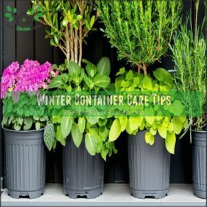 Winter Container Care Tips