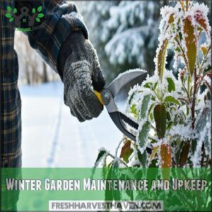 Winter Garden Maintenance and Upkeep