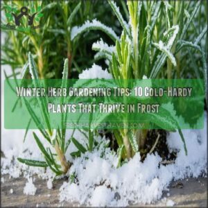 winter herb gardening tips