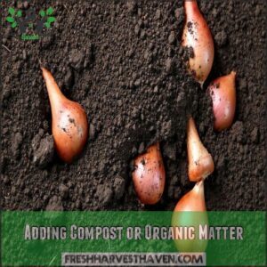 Adding Compost or Organic Matter