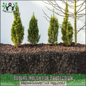 Adding Mulch for Protection