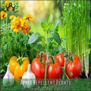 Aphid Repellent Plants