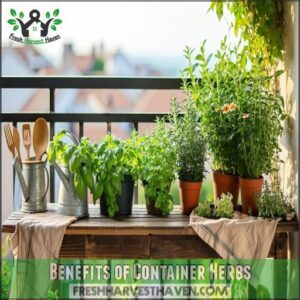 Benefits of Container Herbs