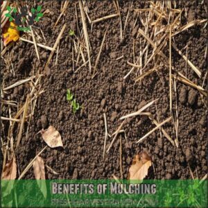 Benefits of Mulching