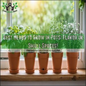 best herbs to grow in pots