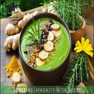 Boosting Immunity With Herbs