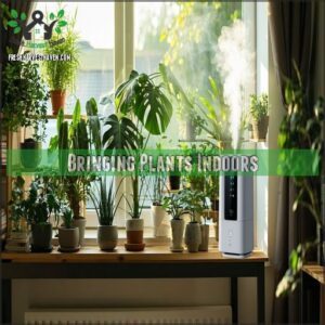 Bringing Plants Indoors