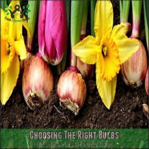 Choosing The Right Bulbs