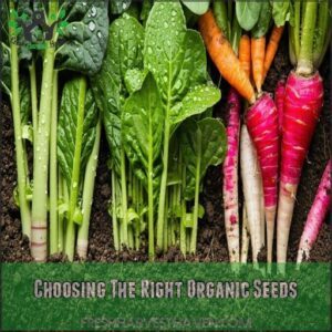 Choosing The Right Organic Seeds