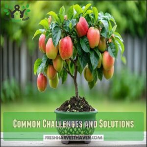 Common Challenges and Solutions