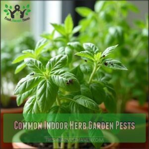 Common Indoor Herb Garden Pests