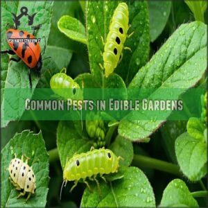 Common Pests in Edible Gardens