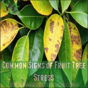 Common Signs of Fruit Tree Stress