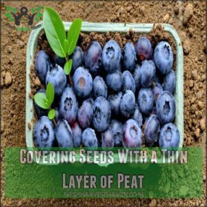 Covering Seeds With a Thin Layer of Peat