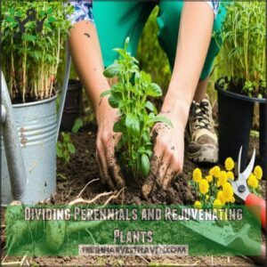 Dividing Perennials and Rejuvenating Plants