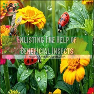 Enlisting The Help of Beneficial Insects