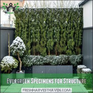 Evergreen Specimens for Structure