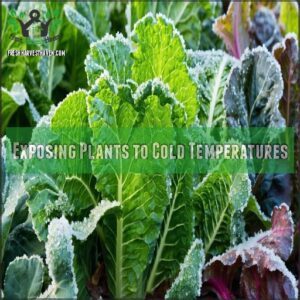 Exposing Plants to Cold Temperatures