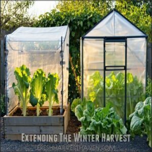 Extending The Winter Harvest