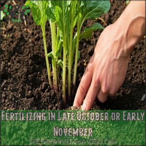 Fertilizing in Late October or Early November