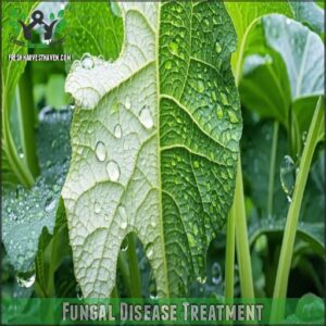 Fungal Disease Treatment