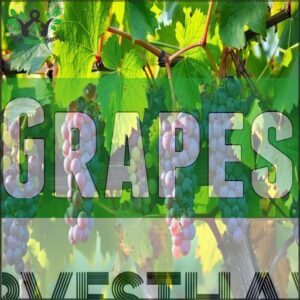 Grapes