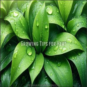 Growing Tips for Heat