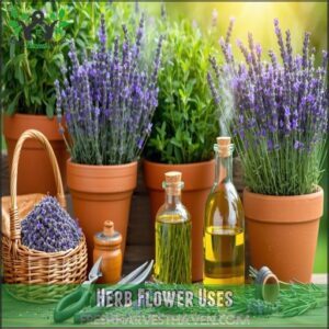 Herb Flower Uses