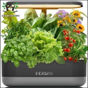 inbloom 12 Pods Hydroponics Growing B0B9BHHYKB