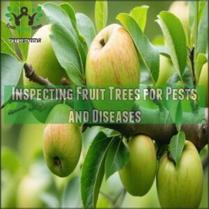 Inspecting Fruit Trees for Pests and Diseases