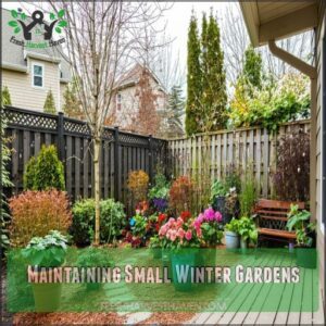 Maintaining Small Winter Gardens