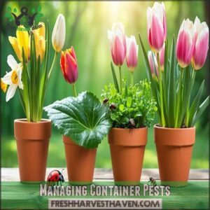 Managing Container Pests