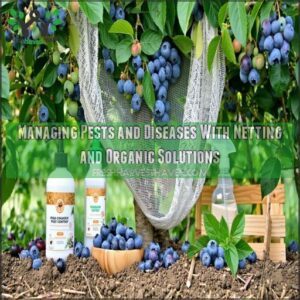 Managing Pests and Diseases With Netting and Organic Solutions