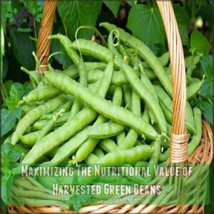 Maximizing The Nutritional Value of Harvested Green Beans