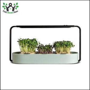 Microgreens Growing Kit - Organic