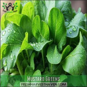 Mustard Greens