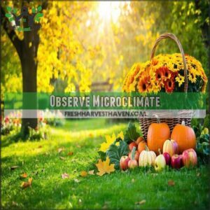 Observe Microclimate